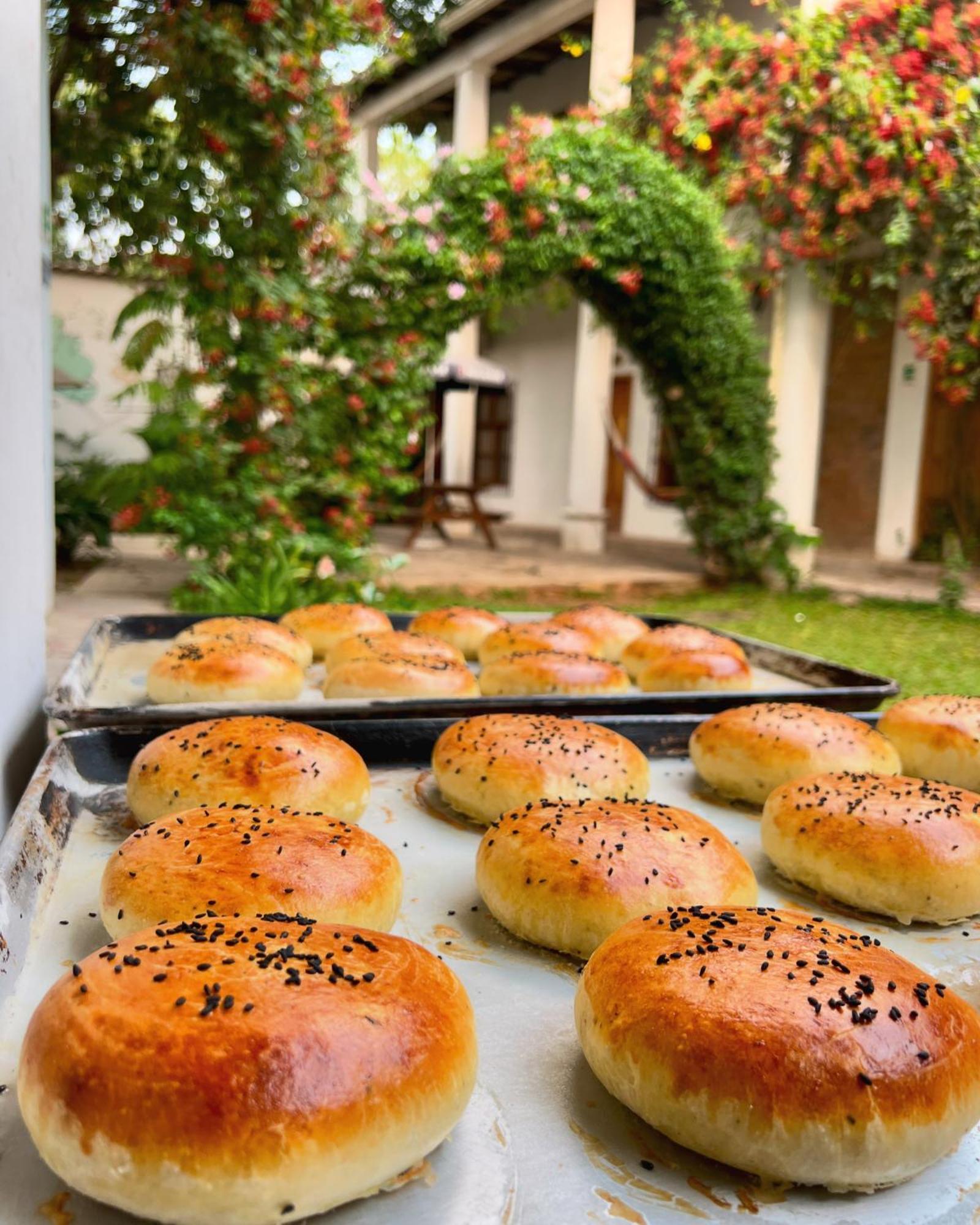 Jardin Cafe Hotel & Restaurant Gracias Dış mekan fotoğraf